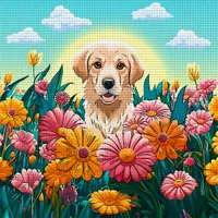Cross Stitch:Craft & Art