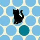 Catch The Cat