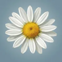Art of Flora - Relaxing Game